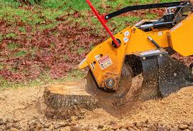 Leaf Removal in Taylor, AL